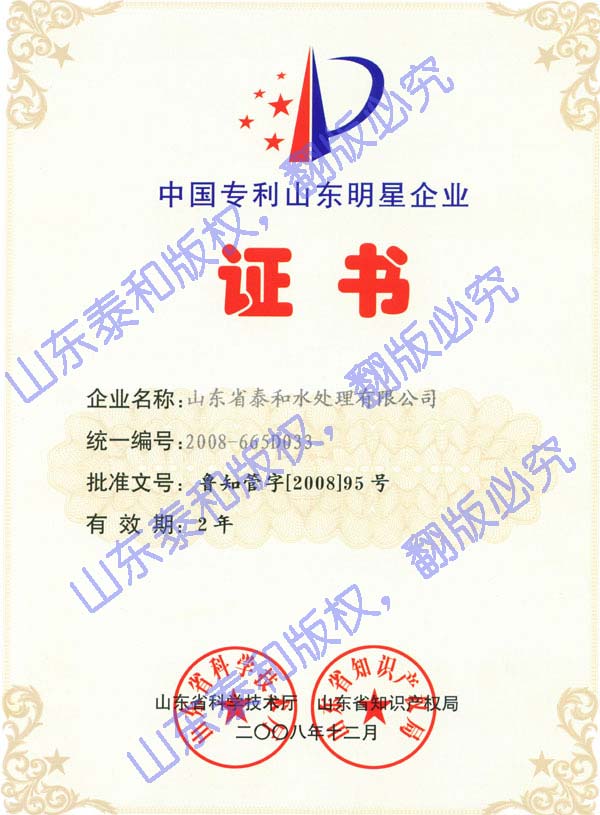 山東泰和科技股份有限公司中國(guó)專利山東明星企業(yè)